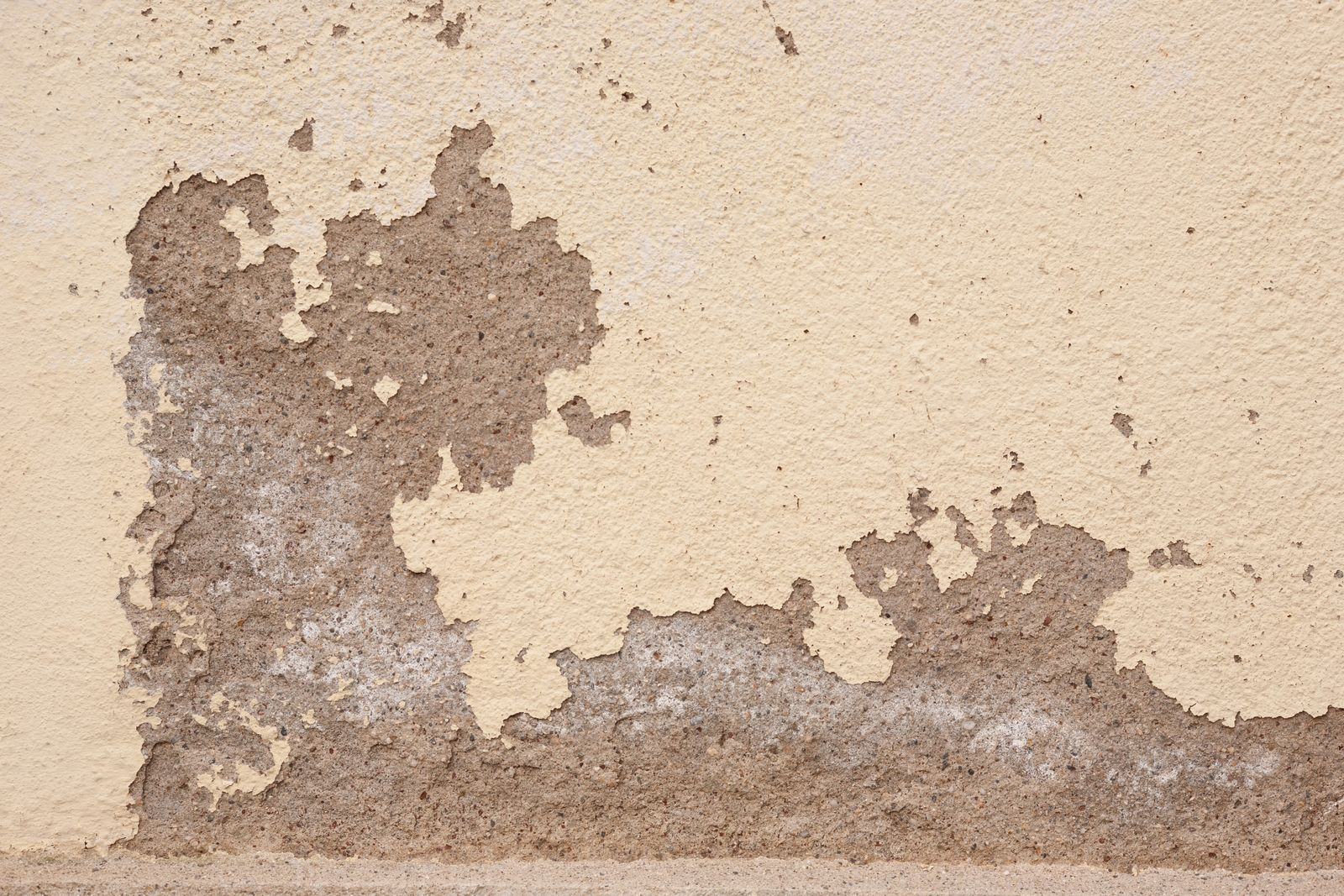 Damp wall with peeling paint and blistered plaster requiring mold removal in Summerlin